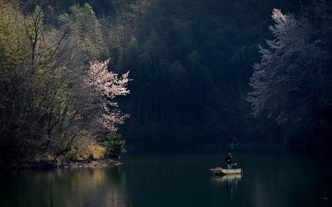 Fishing | Casting A Line In Paradise: A Fishing Adventure…