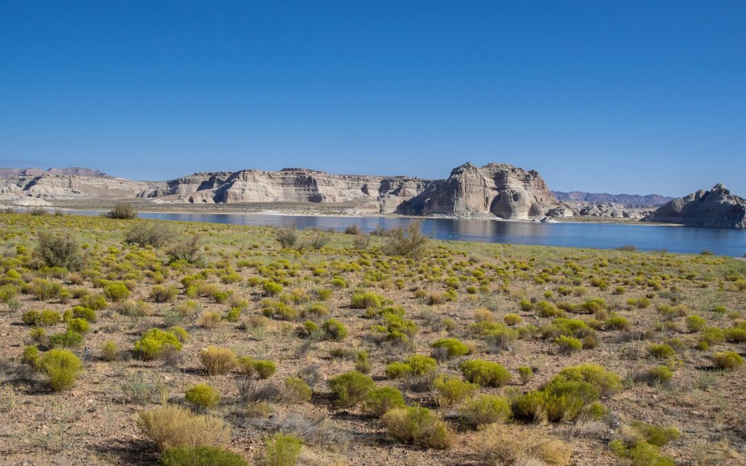 Fishing Tips Lake Powell / Lake Powell: Your Adventure Awaits!…