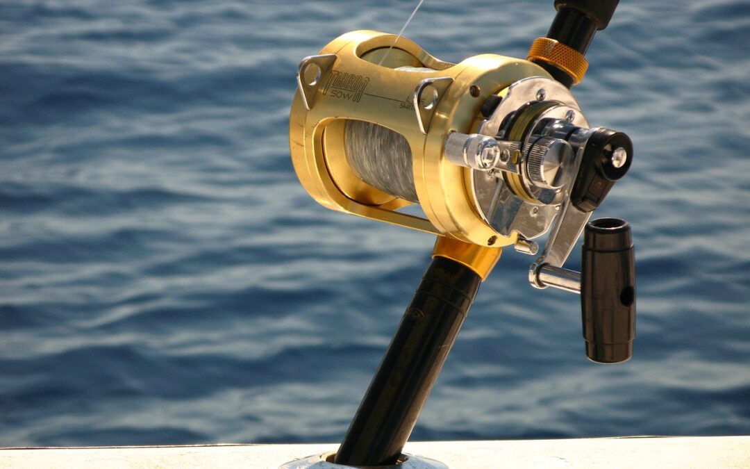 Fishing ~ Casting A Line And Making Memories: Your Guide…