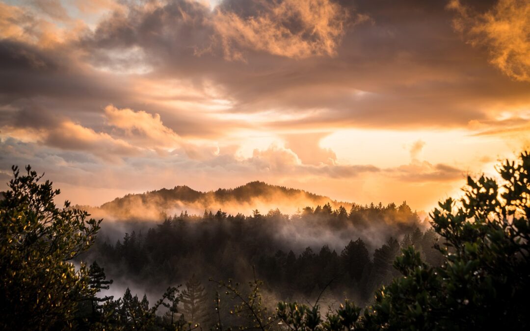Photography And Sightseeing / Capture The World’s Wonders: Photography &…