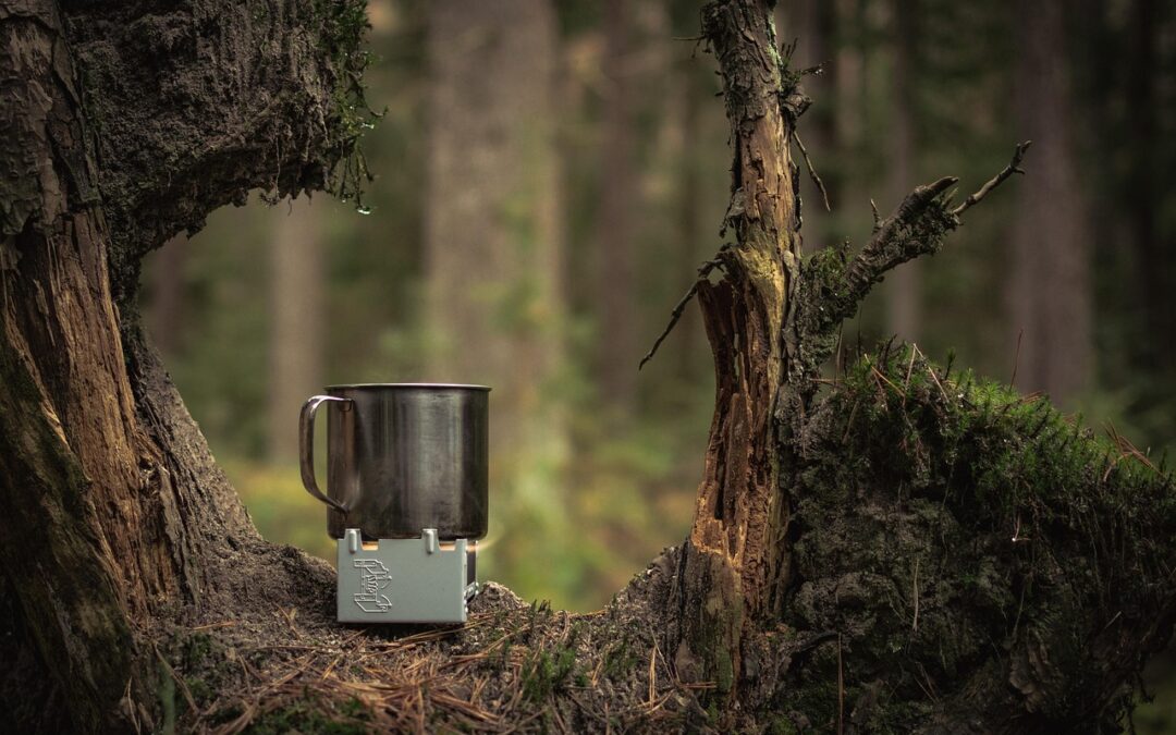 Hiking And Camping / Escape To The Wild: Hiking, Camping,…
