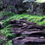 Lake-Powell-hiking-trails_and_Travel-Tips-and-Guides