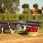 Picnic-spots-Lake-Powell_and_Seasonal-Fishing-Guides