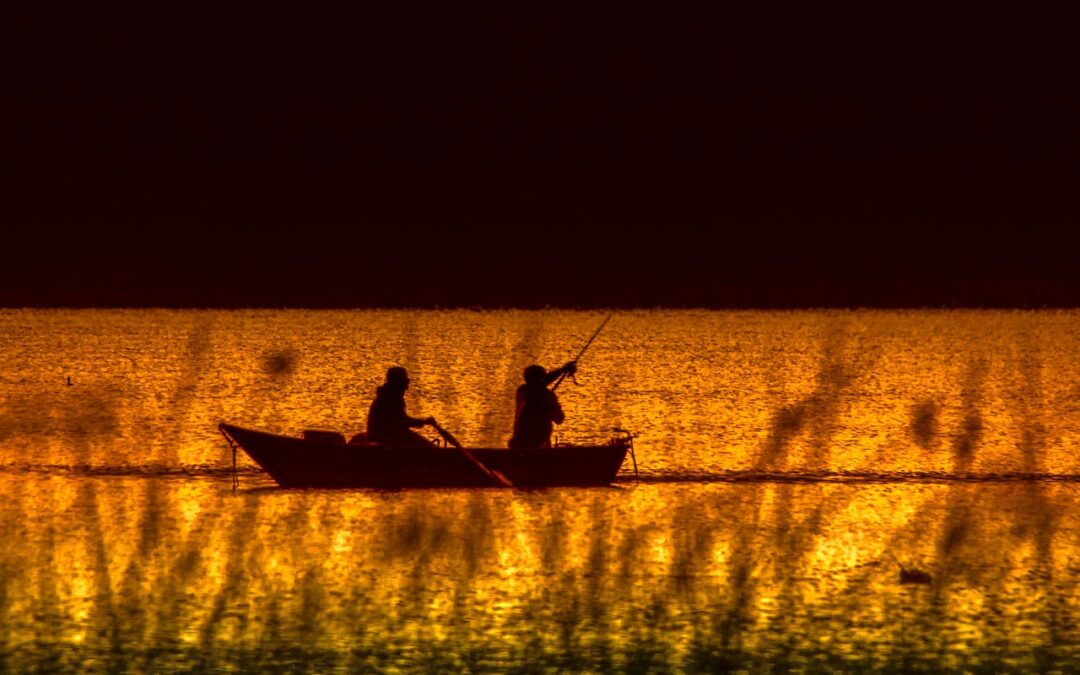Fishing Tips Lake Powell: Ready To Dive Into Lake Powell’s…