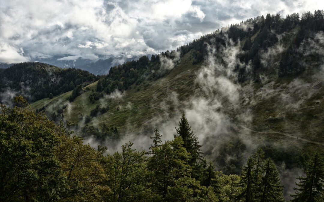 Hiking And Camping: Escape The Ordinary: Hiking, Camping, And Water…