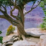 Glen-Canyon-Dam-history_and_History-and-Culture